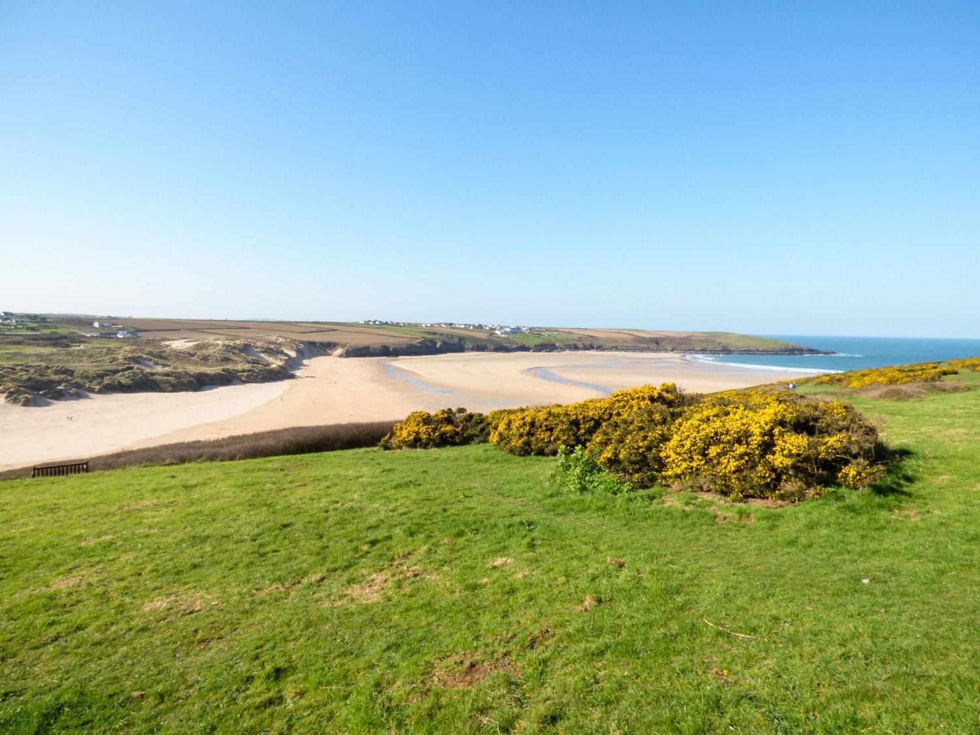 4 Trevanson Mews Newquay  Ngoại thất bức ảnh