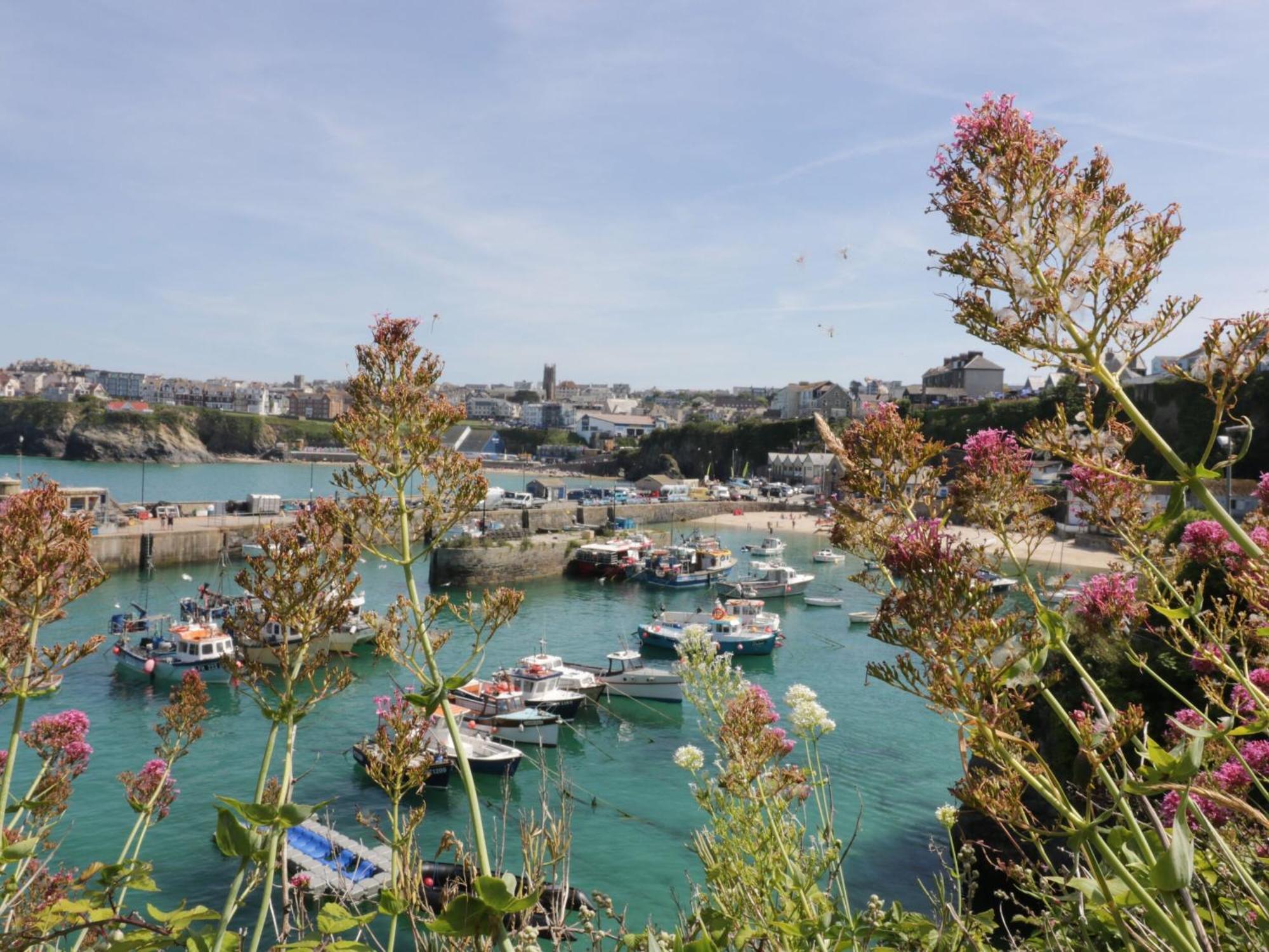 4 Trevanson Mews Newquay  Ngoại thất bức ảnh